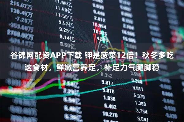 谷锦网配资APP下载 钾是菠菜12倍！秋冬多吃这食材，鲜嫩营养足，补足力气腿脚稳