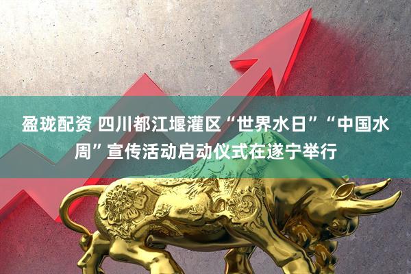 盈珑配资 四川都江堰灌区“世界水日”“中国水周”宣传活动启动仪式在遂宁举行