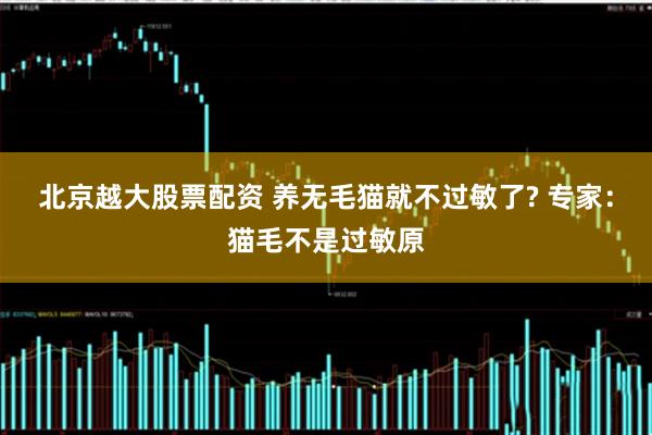 北京越大股票配资 养无毛猫就不过敏了? 专家：猫毛不是过敏原