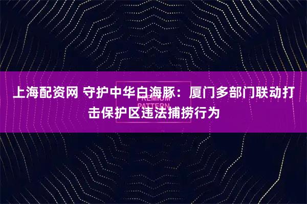上海配资网 守护中华白海豚：厦门多部门联动打击保护区违法捕捞行为