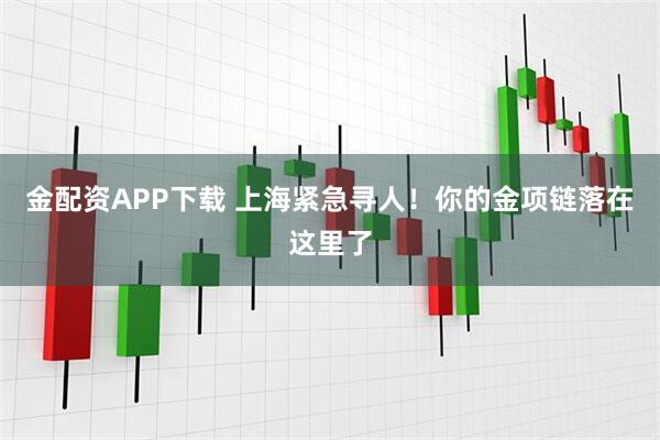 金配资APP下载 上海紧急寻人！你的金项链落在这里了